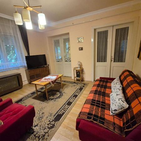 Kereki Retro Vendeghaz Apartment Kerekegyhaza Ngoại thất bức ảnh